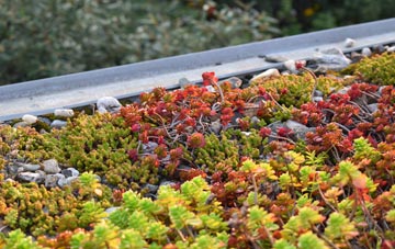 the cost of Applecross green roof installation