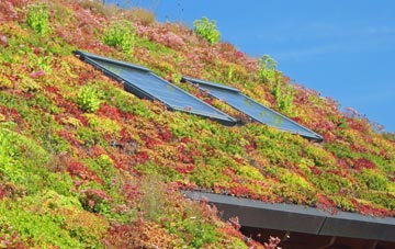 Applecross living roof systems