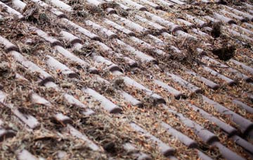 Applecross roof cleaning companies