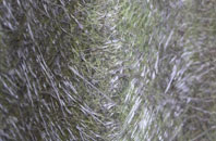 Applecross fibreglass roof work